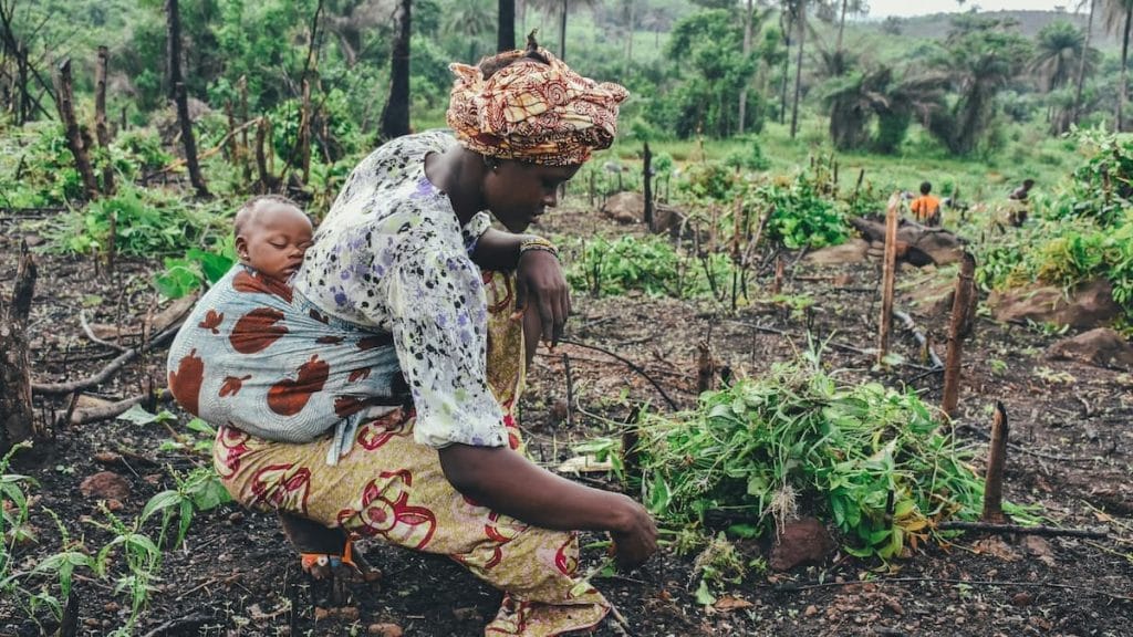 A woman carrying a baby on her back photo by annie spratt via unsplash for DRC: Ongoing Conflict in the East and Increasing Gender-Based Sexual Violence Article